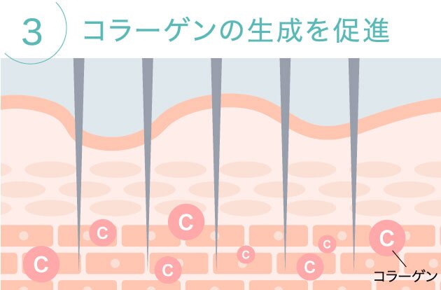3. コラーゲンの生成を促進