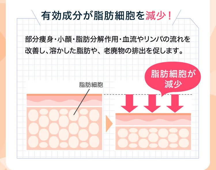 有効成分が脂肪細胞を減少!