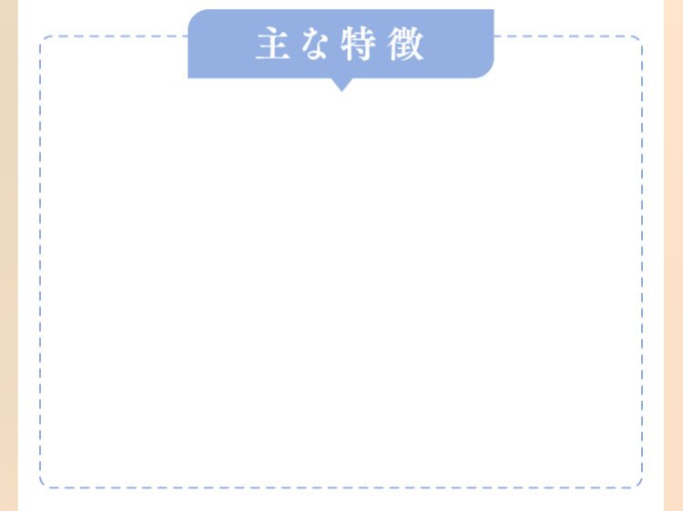 主な特徴