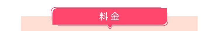 料金