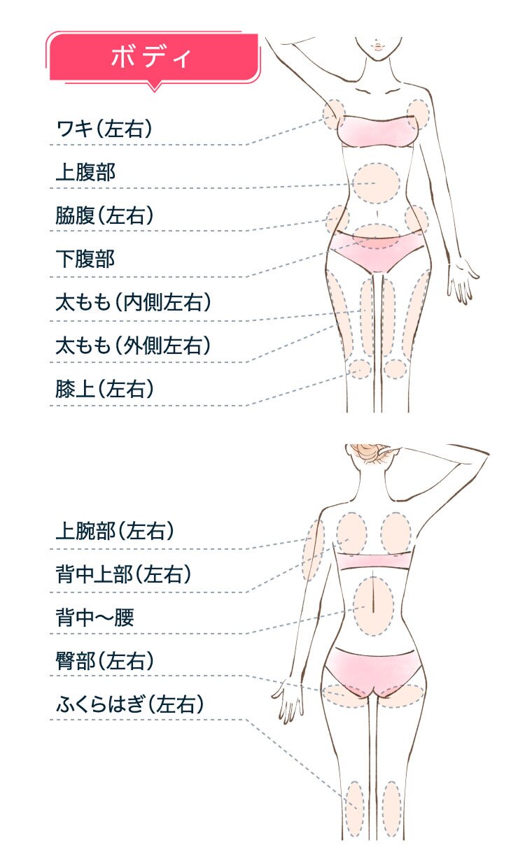 ボディ