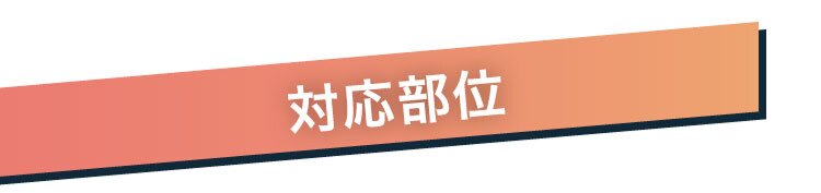 対応部位